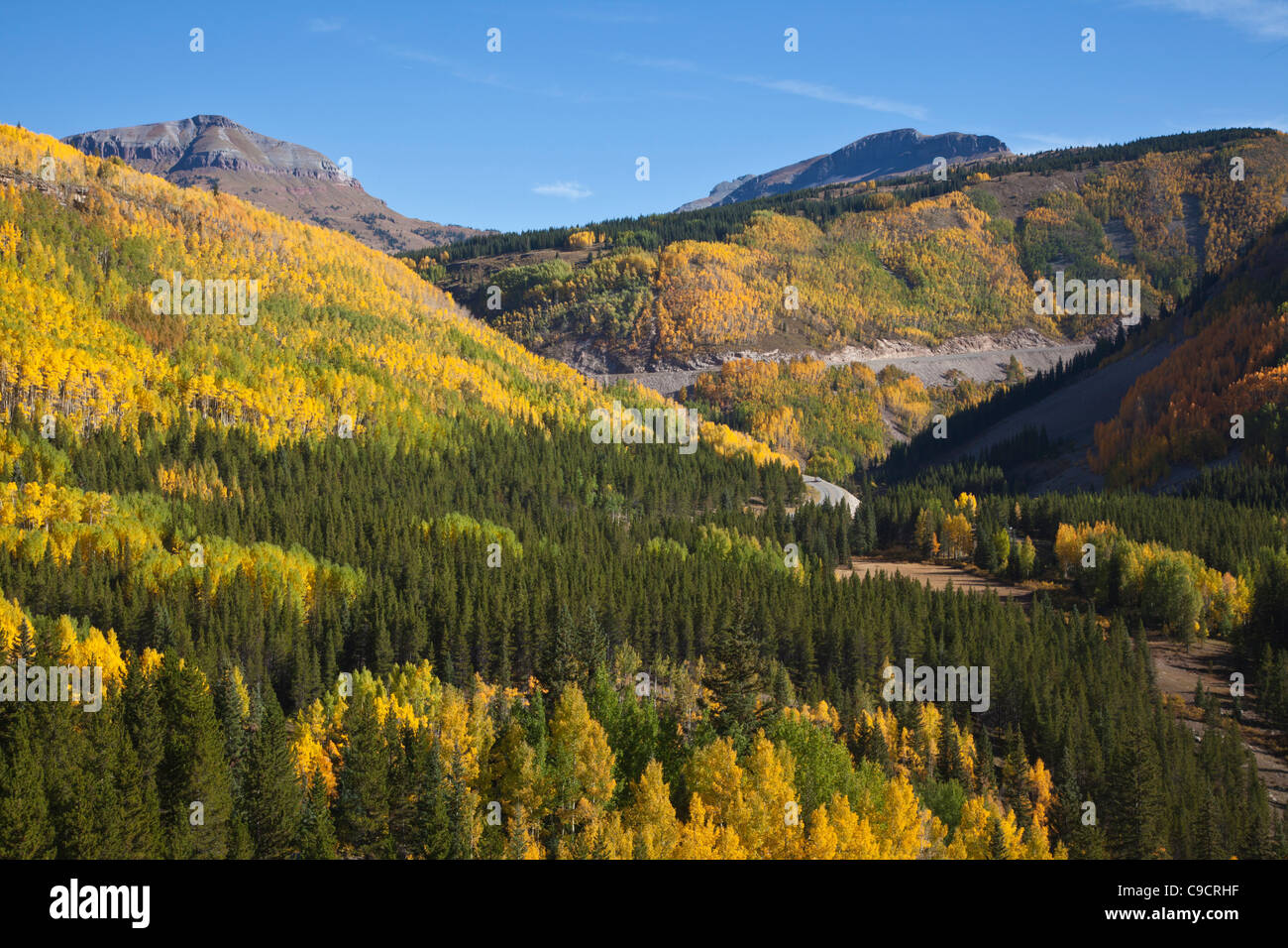 La couleur en automne le long de la route d'un million de dollars (US 550) partie de la San Juan Skyway Scenic Byway dans le Colorado. Banque D'Images