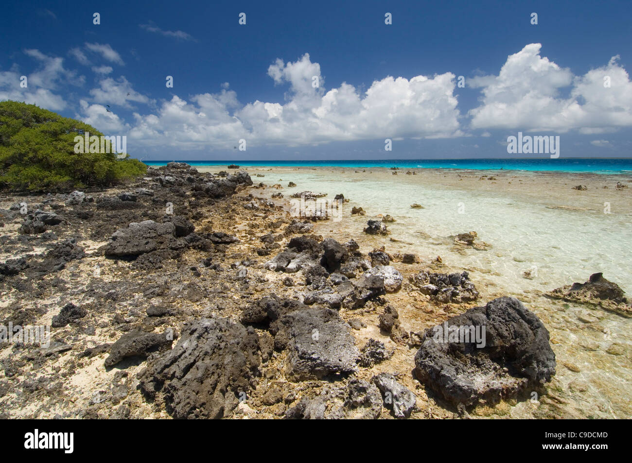 Rochers sur la plage, l'île Bird, Tikehau, Tuamotu, Polynésie Française Banque D'Images