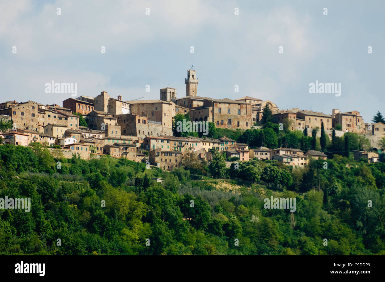 Bâtiments dans une ville, Montepulciano, Val d'Orcia, Province de Sienne, Toscane, Italie Banque D'Images