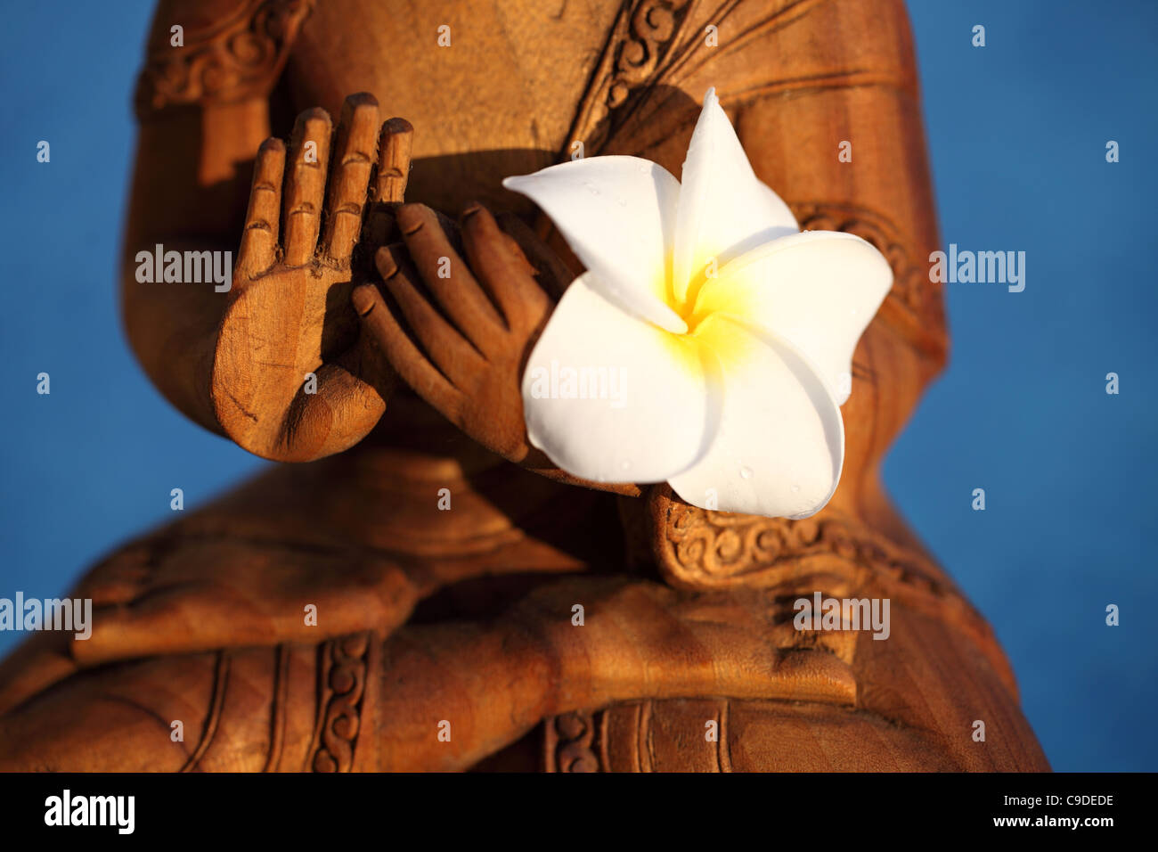 Le futur Bouddha Maitreya dans la méditation avec fleur de frangipanier Népal Banque D'Images