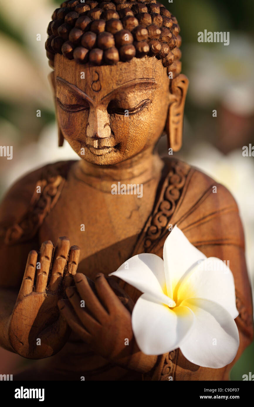 Le futur Bouddha Maitreya dans la méditation avec fleur de frangipanier Népal Banque D'Images