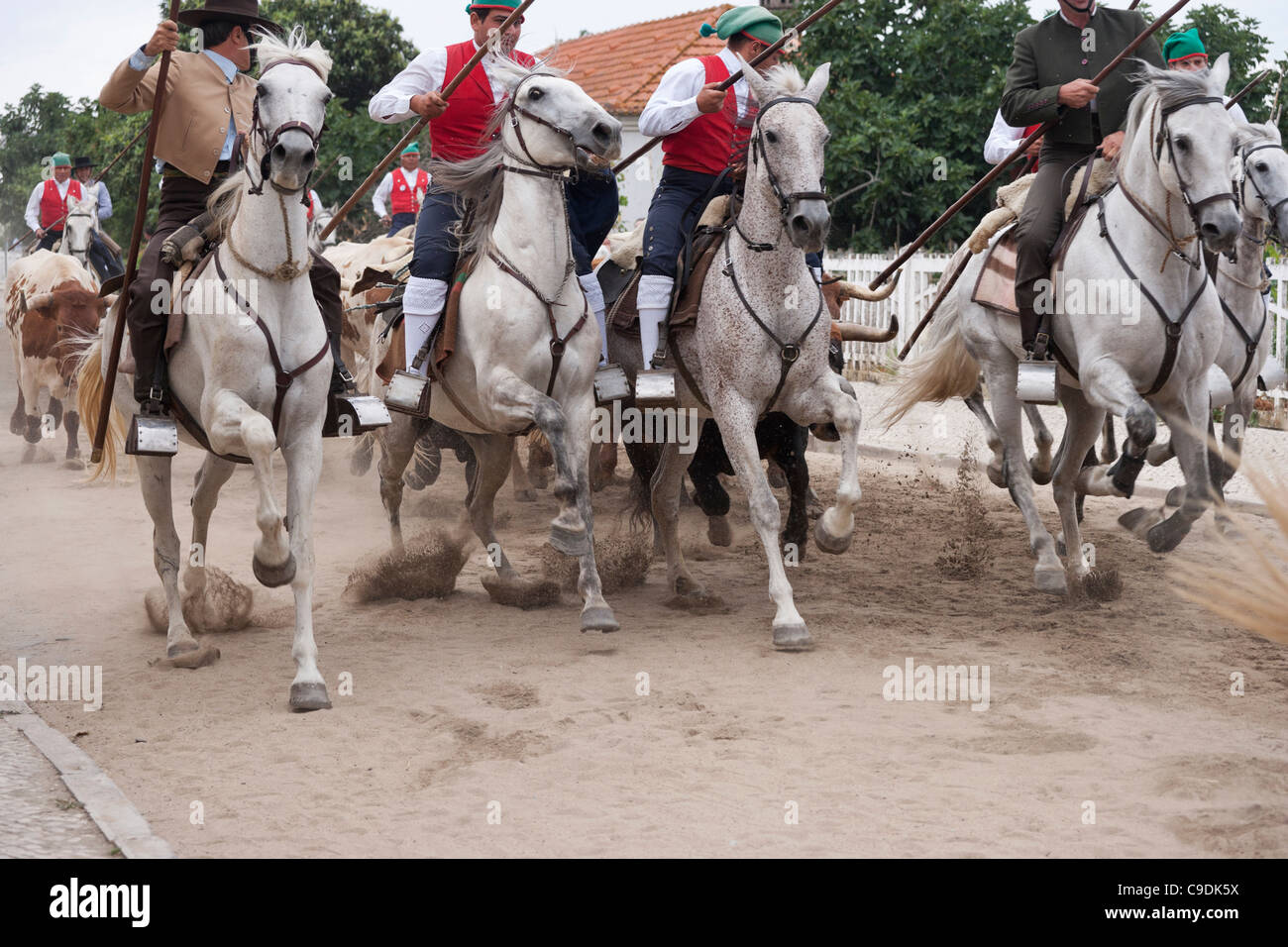 Vila Franca de Xira Portugal fête du cheval cowboy Banque D'Images