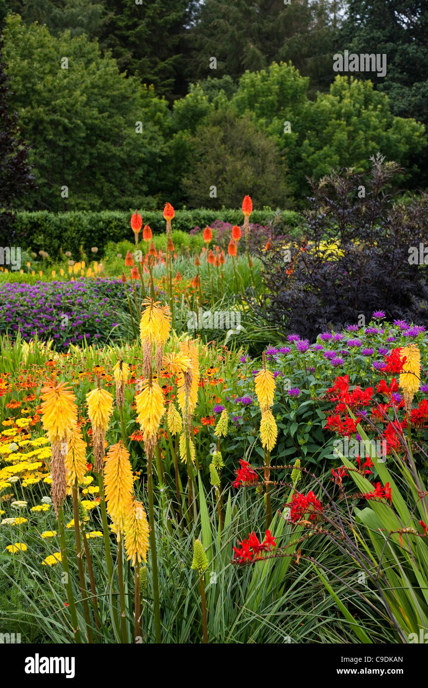 Le jardin en été, chaud RHS Rosemoor, Devon, Angleterre, Royaume-Uni Banque D'Images