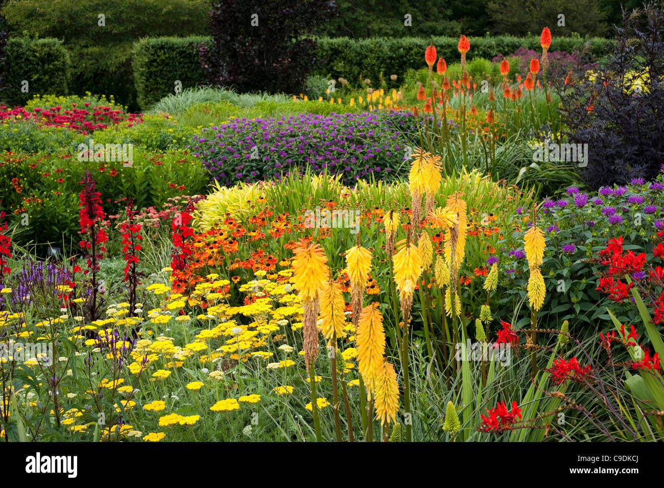 Le jardin en été, chaud RHS Rosemoor, Devon, Angleterre, Royaume-Uni Banque D'Images