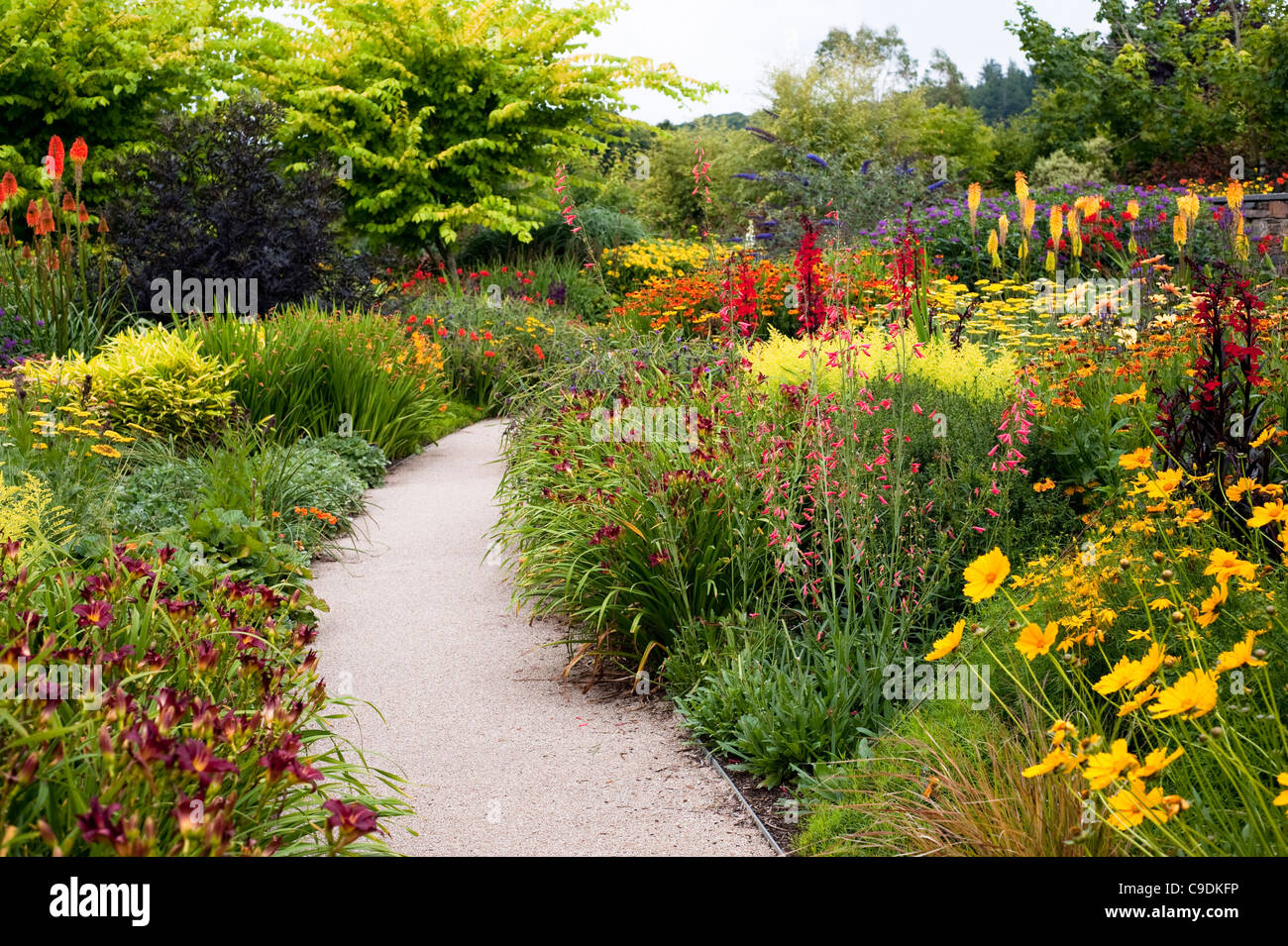 Le jardin en été, chaud RHS Rosemoor, Devon, Angleterre, Royaume-Uni Banque D'Images