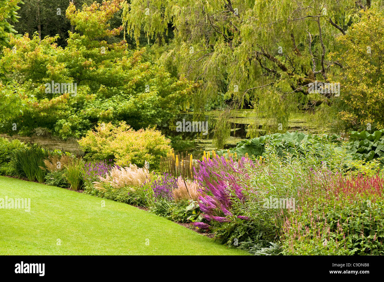 Le lac en été, RHS Rosemoor, Devon, Angleterre, Royaume-Uni Banque D'Images