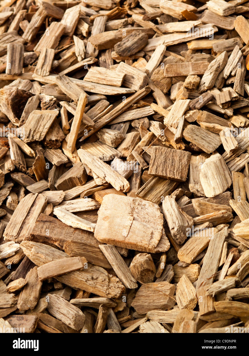 Copeaux de bois verts Banque de photographies et d’images à haute — free download