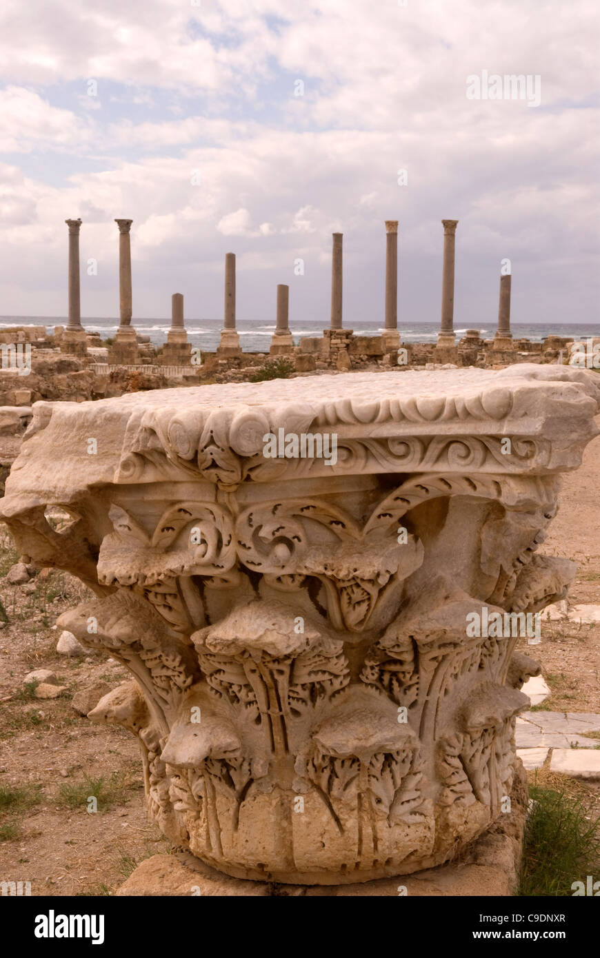 Al-mina site archéologique, Tire, le sud du Liban. Banque D'Images