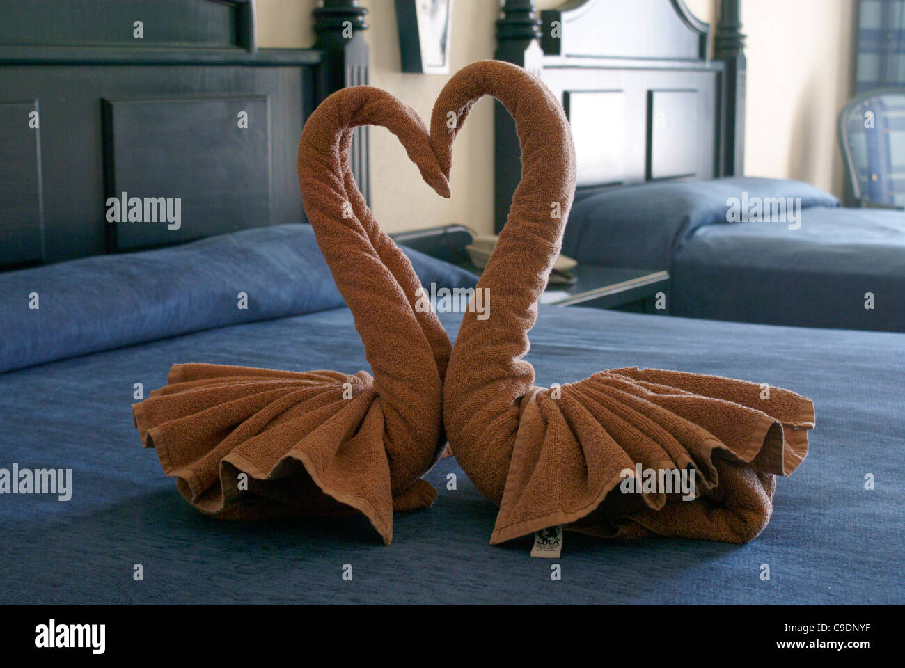 Embrassant l'origami serviette cygnes sur le lit dans une chambre d'hôtel de villégiature de luxe, Mazatlan, Sinaloa, Mexique Banque D'Images
