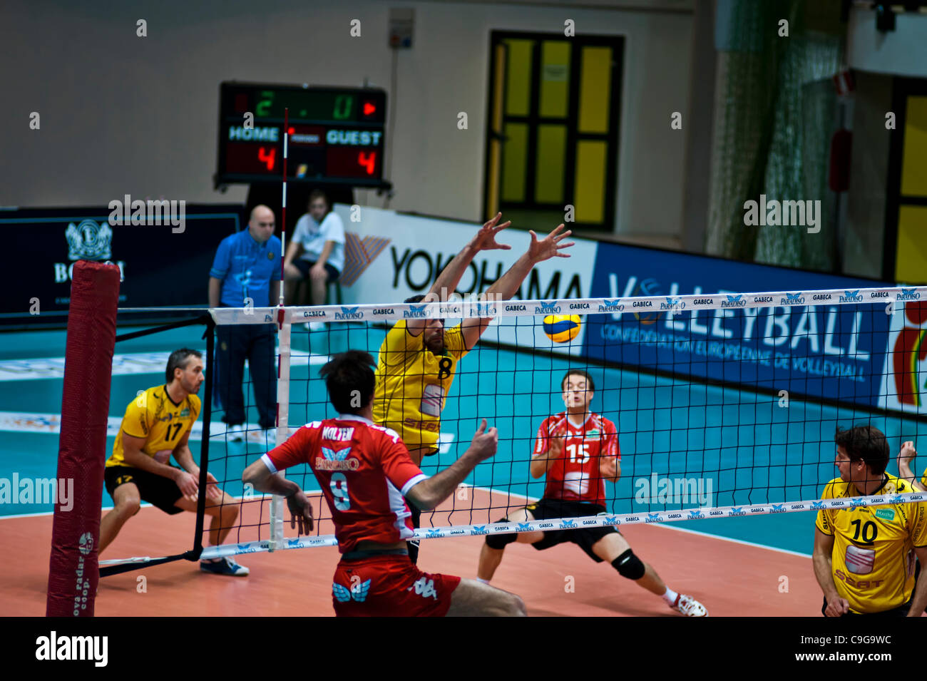 Coupe du monde de volley-ball masculin 1999