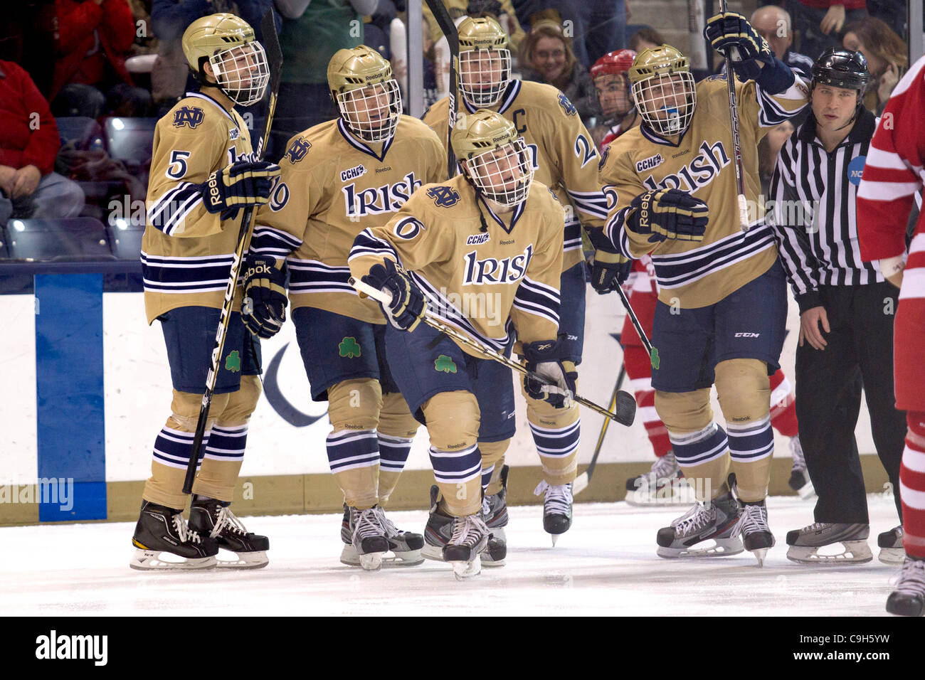 31 déc., 2011 - South Bend, Indiana, États-Unis - les joueurs célébrer Notre Dame centre objectif par Patrick Gaulois (# 6) en seconde période d'action match de hockey NCAA entre Notre Dame et l'Université de Boston. La Cathédrale Notre Dame Fighting Irish défait les terriers de l'Université de Boston 5-2 en match à la glace Famille Compton Banque D'Images