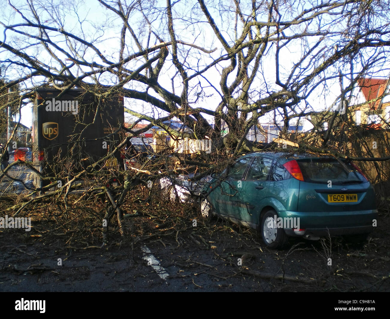 Un camion de livraison a été pilote de la chance de s'échapper indemne lorsqu'un arbre haut de 40 pieds a été soufflé par les vents forts dans la région de Feltham, Middlesex. Banque D'Images