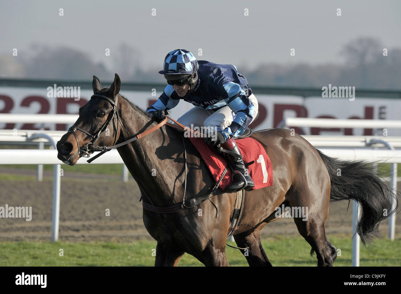 La menorah montée par Richard Johnson saute la dernière et continue pour gagner le pari avec williamhill.com sur votre mobile novices' Chase Cl2 2m à Kempton Park Racecourse, Sunbury-on-Thames, Middlesex - 14/01/2012 - CRÉDIT : Martin Dalton/TGSPHOTO/Alamy Live News Banque D'Images