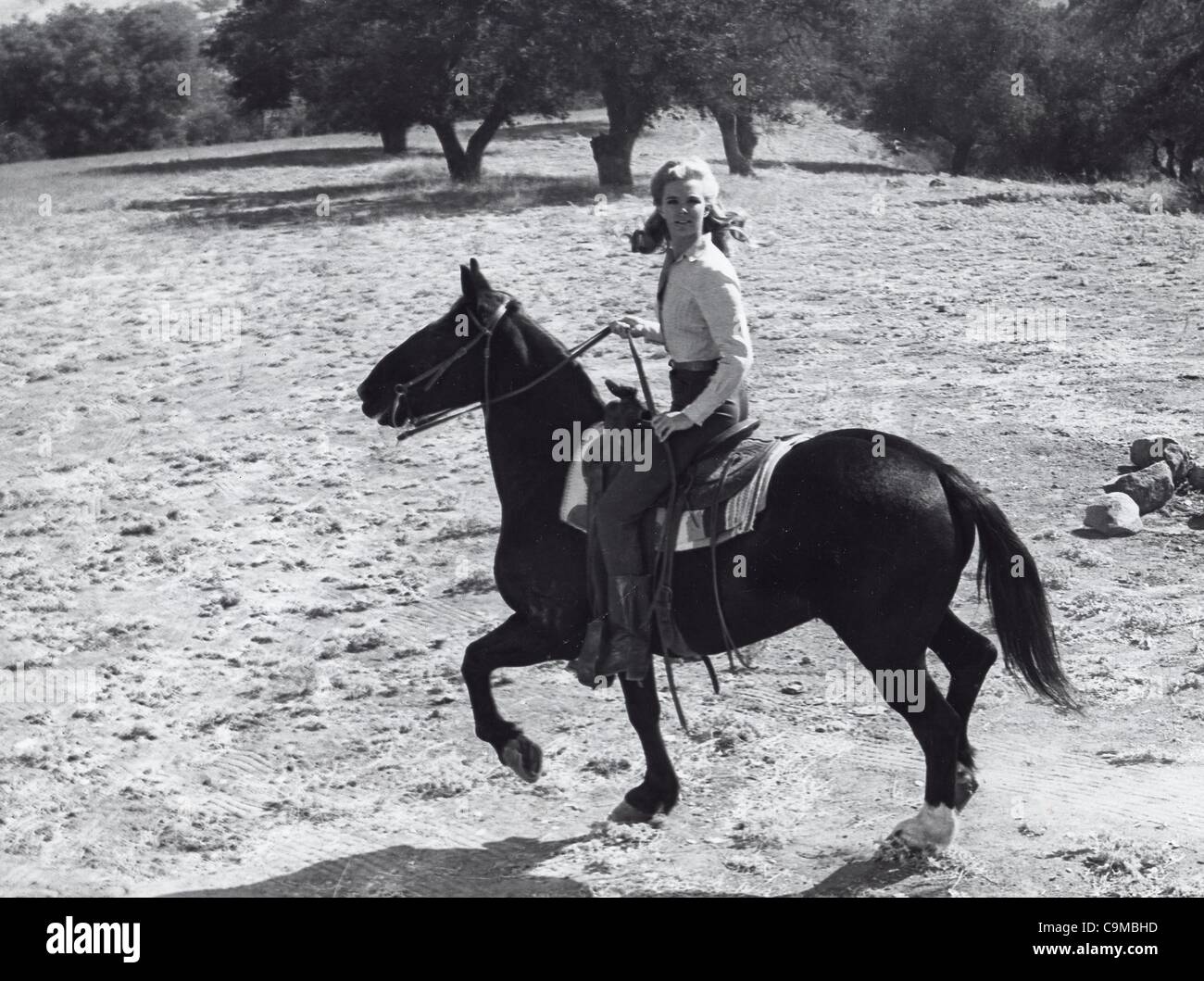 LINDA EVANS.Fourni par Photos, inc..La grande vallée.(Image Crédit : Â© Globe Photos/ZUMAPRESS.com) Banque D'Images