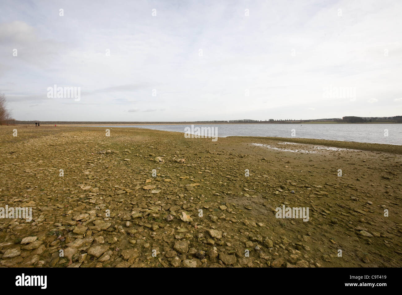 Les niveaux d'eau sont faibles à l'eau près de Rutland Oakham, Rutland, Angleterre. Le réservoir l'un des plus grands lacs artificiels d'Europe et des fournitures réserver l'eau potable dans le plus sec et le plus densément peuplé du quart du Royaume-Uni.L'Ecosse et d'East Anglia sont confrontés à des restrictions sur l'eau u Banque D'Images