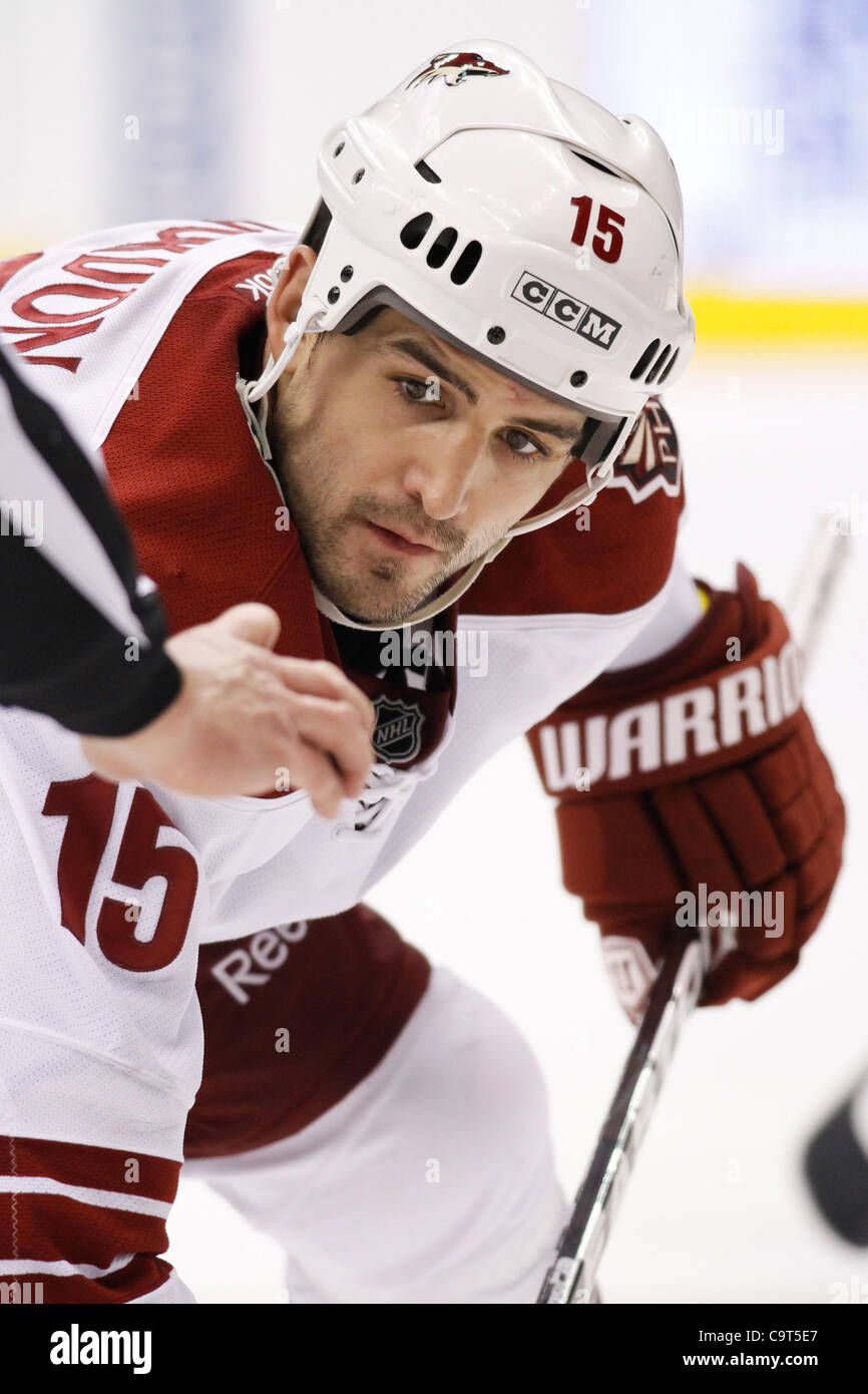 16 février 2012 - Los Angeles, Californie, États-Unis - Phoenix Coyotes Boyd Gordon (15) les yeux vers le bas le jeu. Les Coyotes à l'encontre de l'Kings 1-0 dans le règlement au Staples Center de Los Angeles, Californie. (Crédit Image : © Josh Chapelle/ZUMAPRESS.com)/Southcreek Banque D'Images