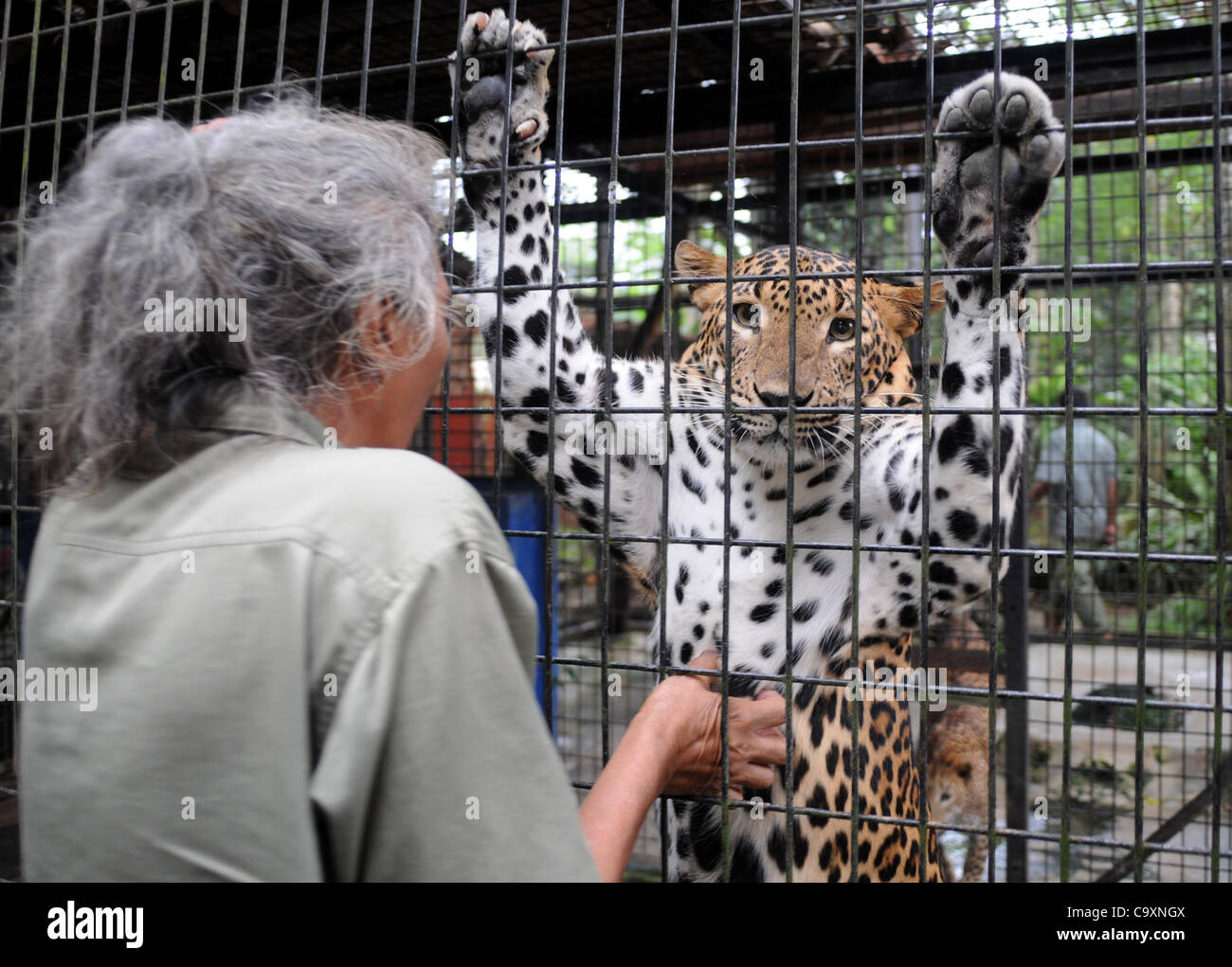 Le 2 mars 2012 - Jakarta - Un gardien de zoo, maman l'A.S interagir avec un léopard au Zoo de Ragunan à Jakarta, Indonésie. Février 02,2012. Maman. Pendant près de 25 ans heÃ•s'occupe des animaux, partage sa maison avec l'abandon et de bébés animaux qui ont besoin de son attention constante. (Crédit Image : © Jeff Bélier/ZU Banque D'Images