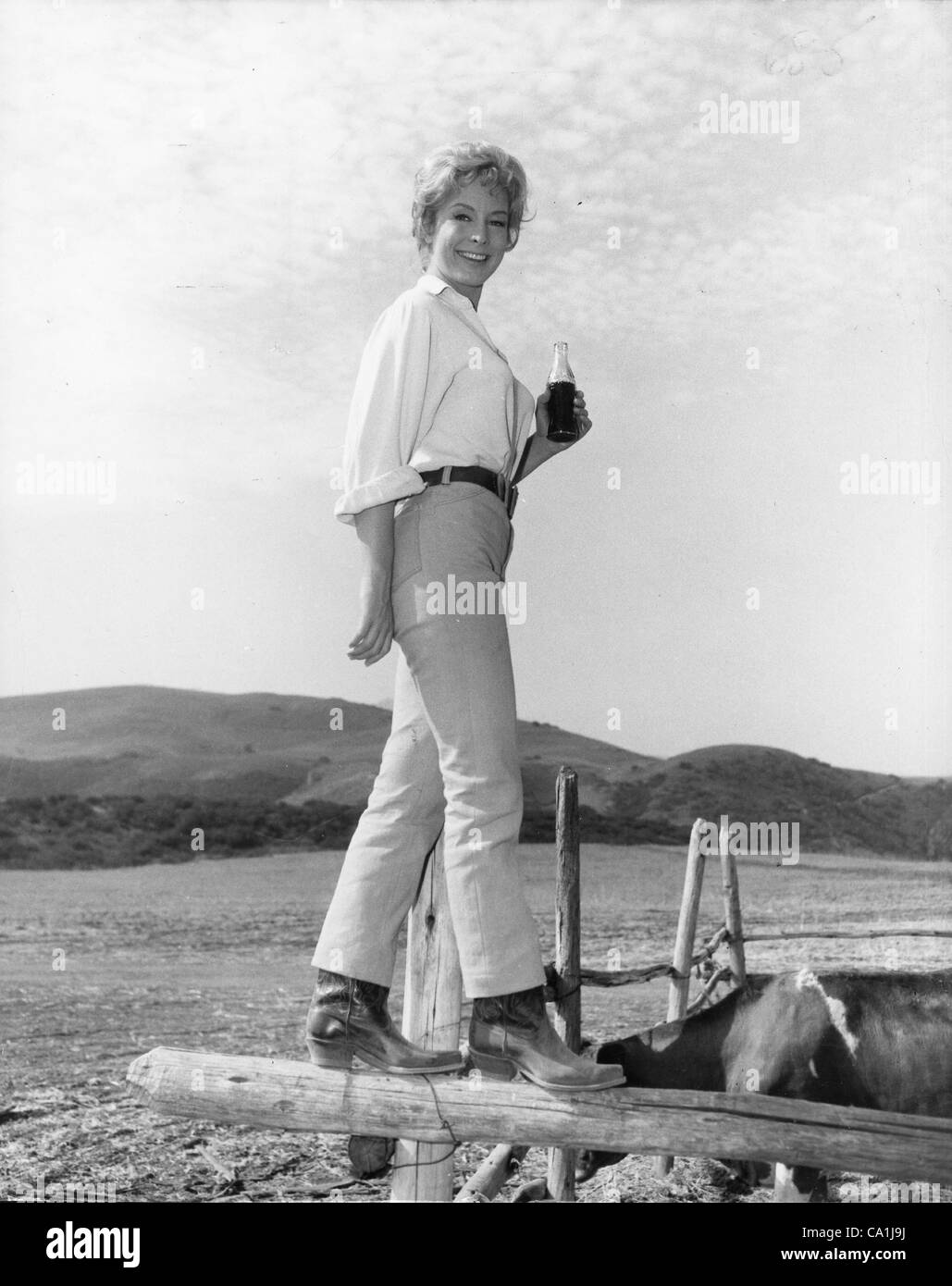 BARBARA EDEN.Fourni par Photos, inc.(Image Crédit : Â© fourni par Globe Photos, Inc/Globe Photos/ZUMAPRESS.com) Banque D'Images