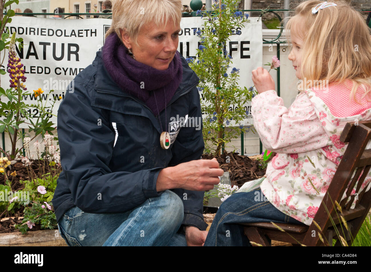 Elissa Gibson (droite) d'apprendre comment attirer la faune dans un jardin avec Anna Budesha (à gauche) dans le Nord du Pays de Galles' Wildlife Trust's Wildlife Projet de jardinage jardin. Le jardin a été construit dans un espace de stationnement le 5 juin à Caernarfon, Pays de Galles, Royaume-Uni. Banque D'Images