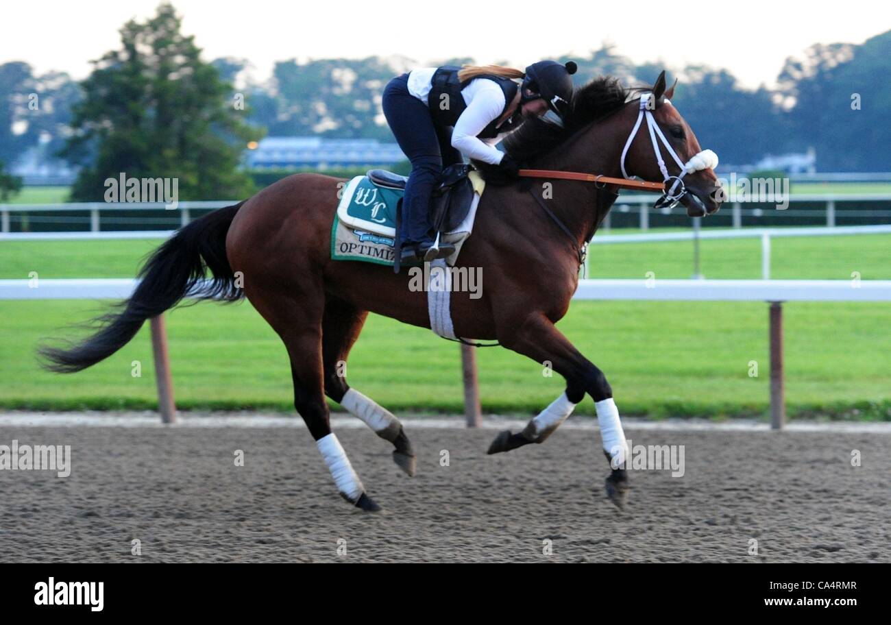 Le 7 juin 2012 - Elmont, New York, États-Unis - Belmont Stakes contender Optimizer, formés par D Wayne Lukas, galops sur la voie principale à Belmont Park en avant du Belmont Stakes, le 9 juin. (Crédit Image : © Bryan Smith/ZUMAPRESS.com) Banque D'Images