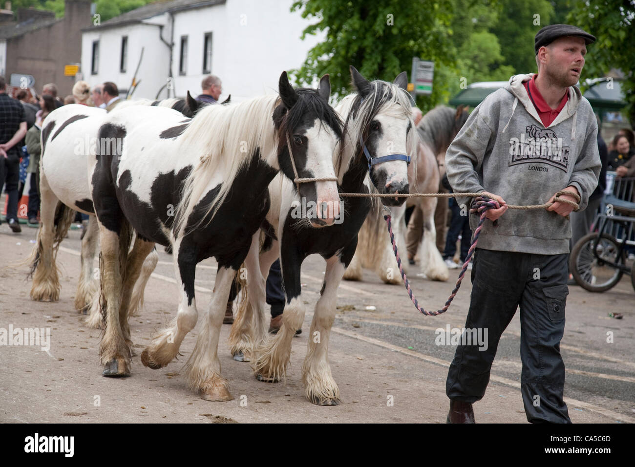 Dimanche 10 Juin 2012 à Penrith, Cumbria, England, UK. Un homme à la tête d'un groupe de chevaux cob le long de la rue à Appleby, juste le plus grand rassemblement annuel des Tsiganes et Voyageurs en Europe. Le dimanche est traditionnellement une journée chargée pour l'émission et le nombre de visiteurs à la foire, qui s'étend 7ème-13ème J Banque D'Images