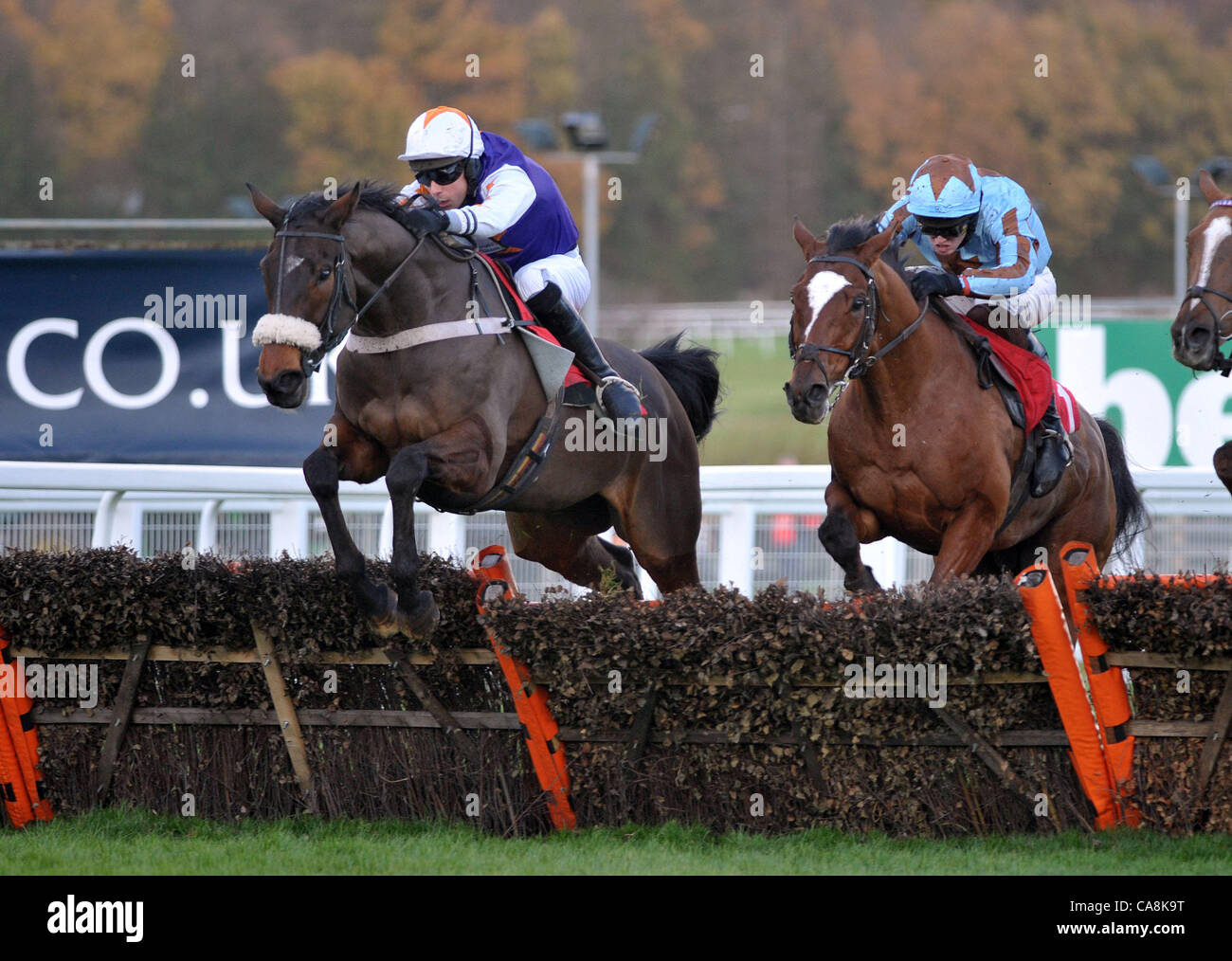 Ubi Ace monté par Robert Walford mène au cours de la dernière pour gagner le Bavaria Premium Lager importés obstacle Handicap à Sandown Park Racecourse, ESHER, Surrey - 03/12/2011 - CRÉDIT : Martin Dalton/TGSPHOTO Banque D'Images