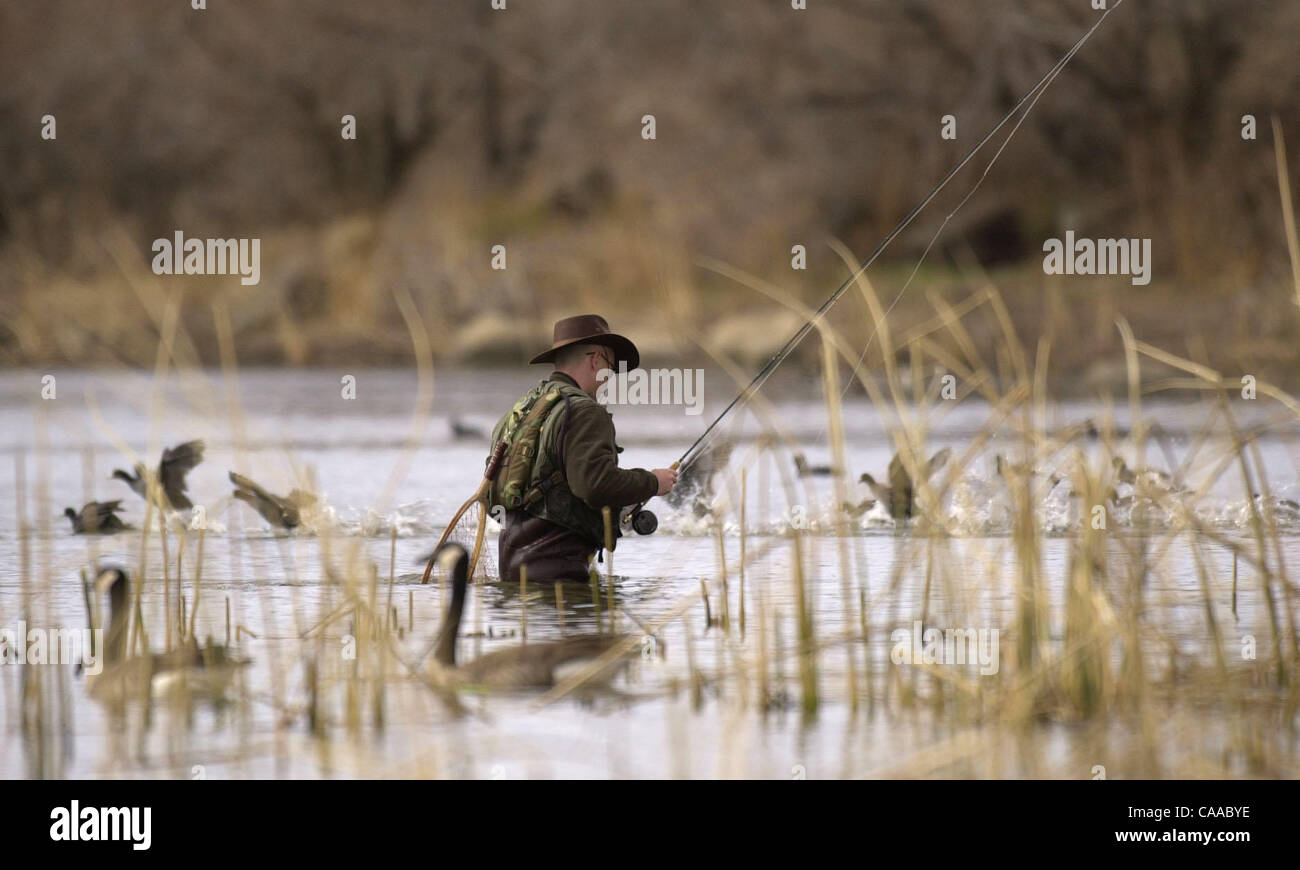 David McGraw d'Oceanside, ca fait fuir certains canards et oies en sortant de Lake Cuyamaca après la pêche de la truite à la mouche de casting Vendredi 19 Décembre, 2003. Banque D'Images