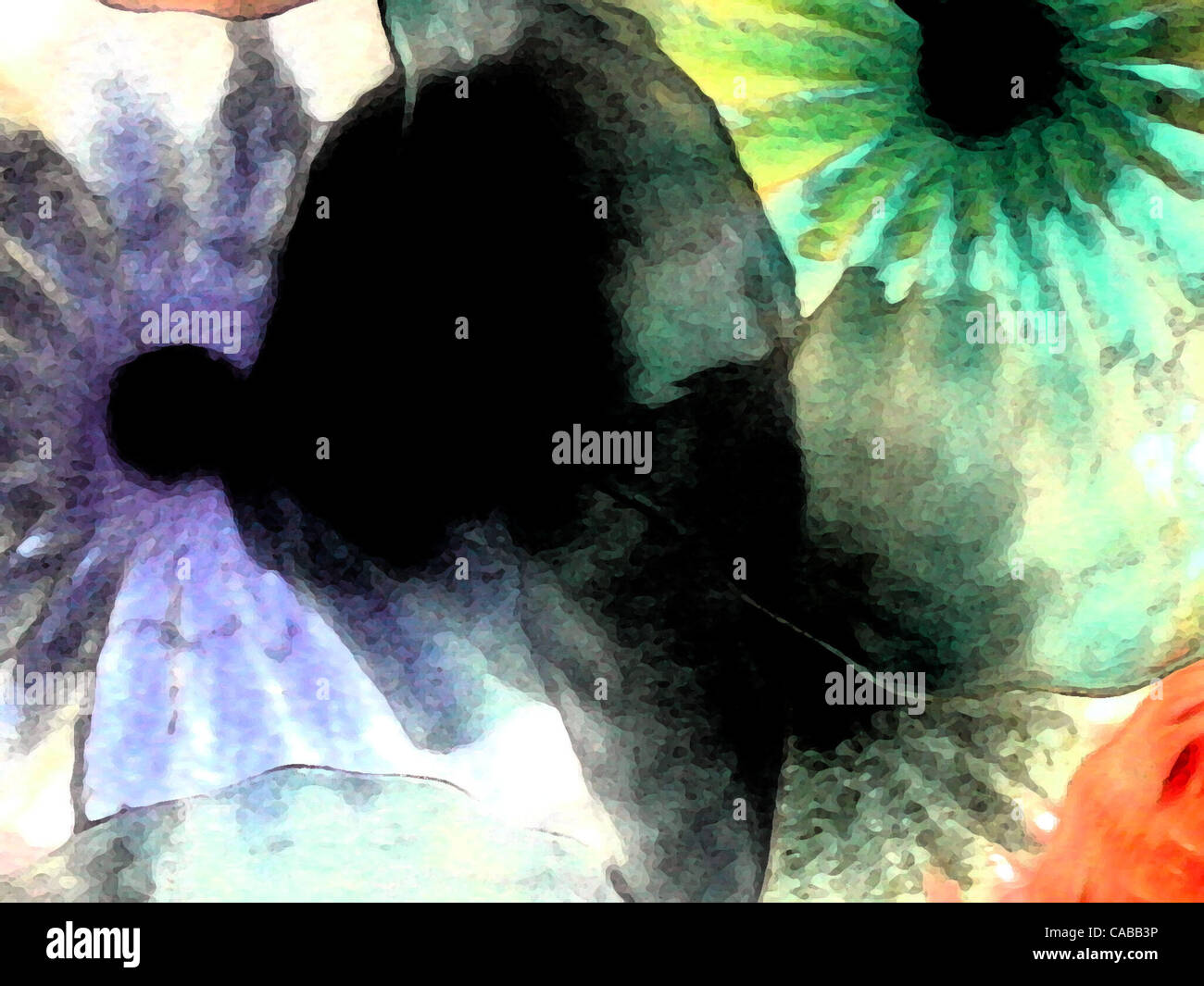 Juin 03, 2004 ; Los Angeles, CA, USA ; résumé des fleurs en verre. Banque D'Images