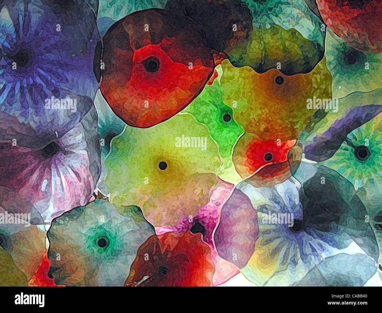 Juin 03, 2004 ; Los Angeles, CA, USA ; résumé des fleurs en verre. Banque D'Images