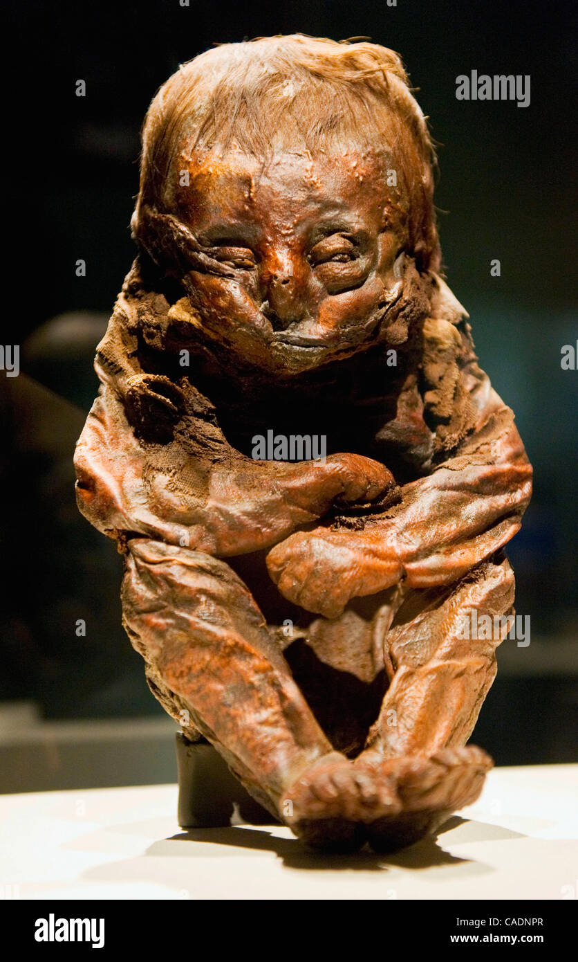 30 juin 2010 - Los Angeles, Californie, Etats-Unis - une momie d'un enfant péruvien, 8-10 mois, décédé il y a quelques 6 500 ans, les plus susceptibles d'une anomalie cardiaque, sur l'affichage à l'aperçu de la presse pour la journée 'Les momies du Monde' la pièce au California Science Center. Grâce aux dons de momies et re Banque D'Images