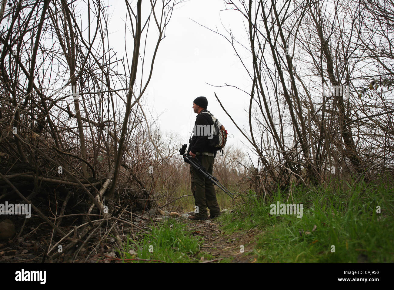 Photographe Guy Galante (CQ) , 35, d'Arden Arcade promenades le long de l'American River En aval de sac à la recherche d'État si un coyote à photographier. Randy Pench / rpench@sacbee.com Banque D'Images