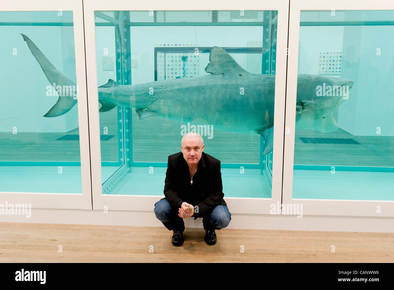 Art moderne galerie requin installation Banque de photographies et d’images à haute résolution 