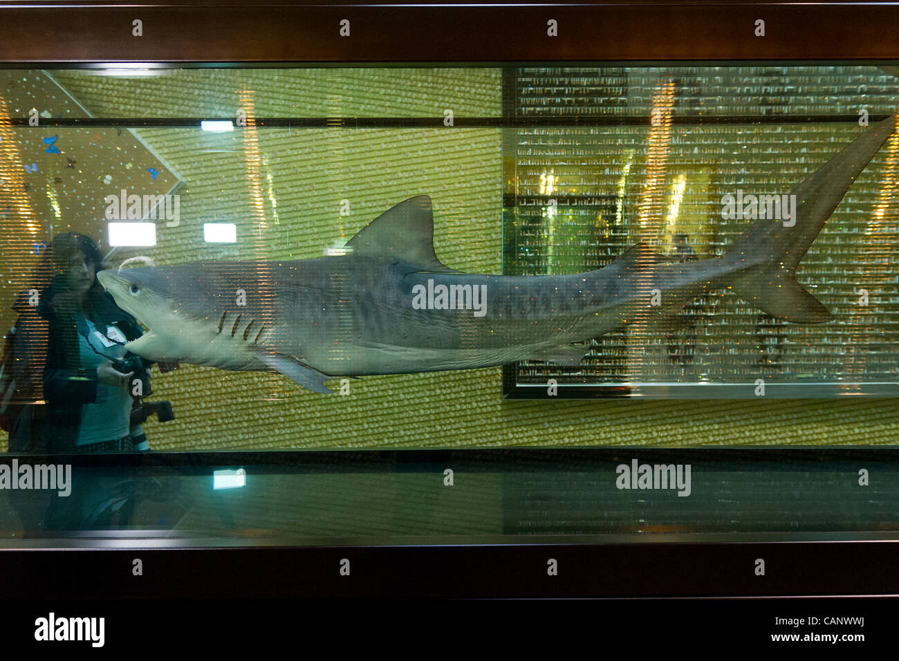 Belle dans ma tête pour toujours. Damien Hirst l'exposition à la Tate Modern, Londres, UK ouvre le 4 avril 2012. Banque D'Images