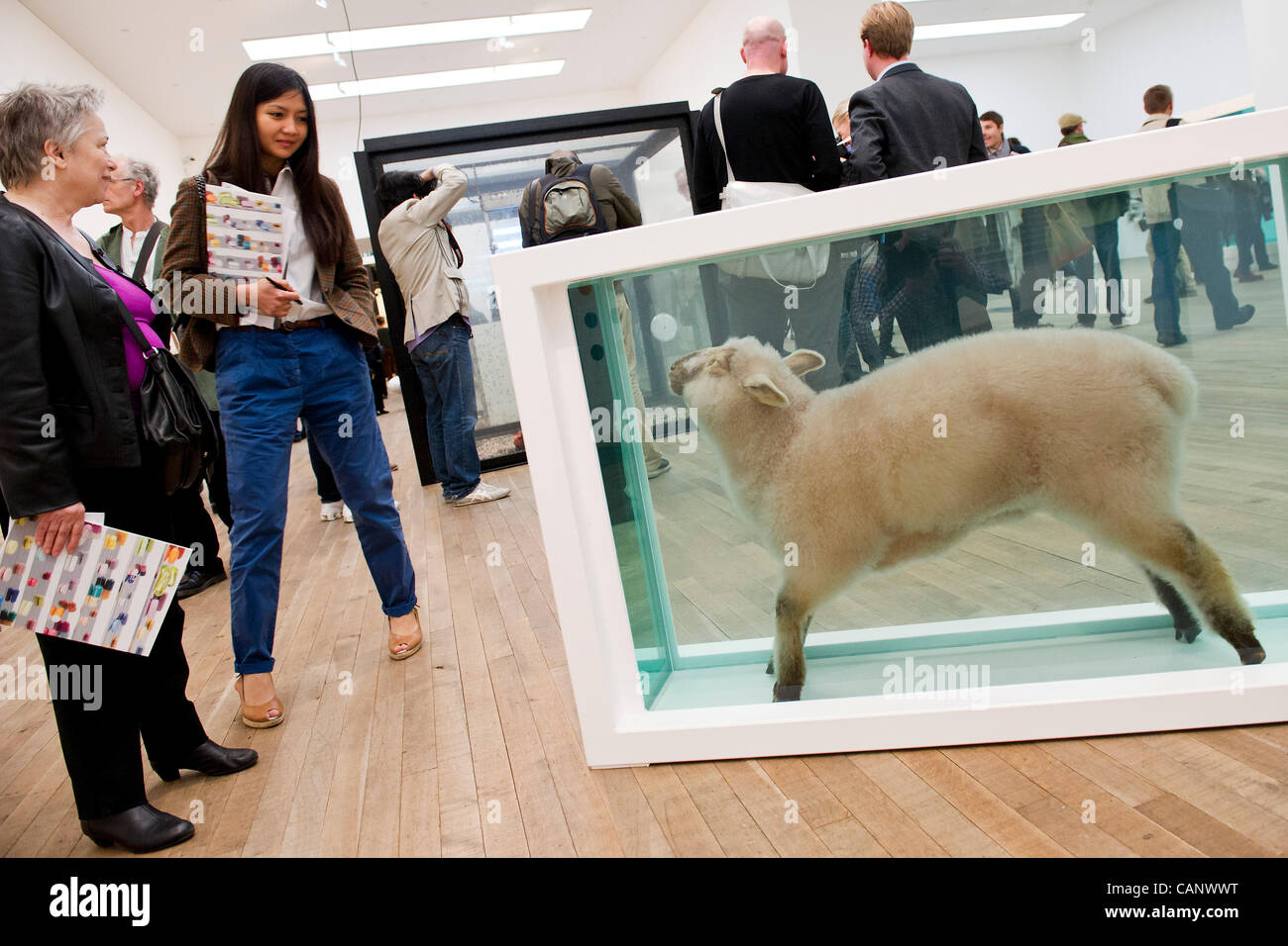 Damien Hirst l'exposition à la Tate Modern, Londres, UK ouvre le 4 avril 2012. Banque D'Images