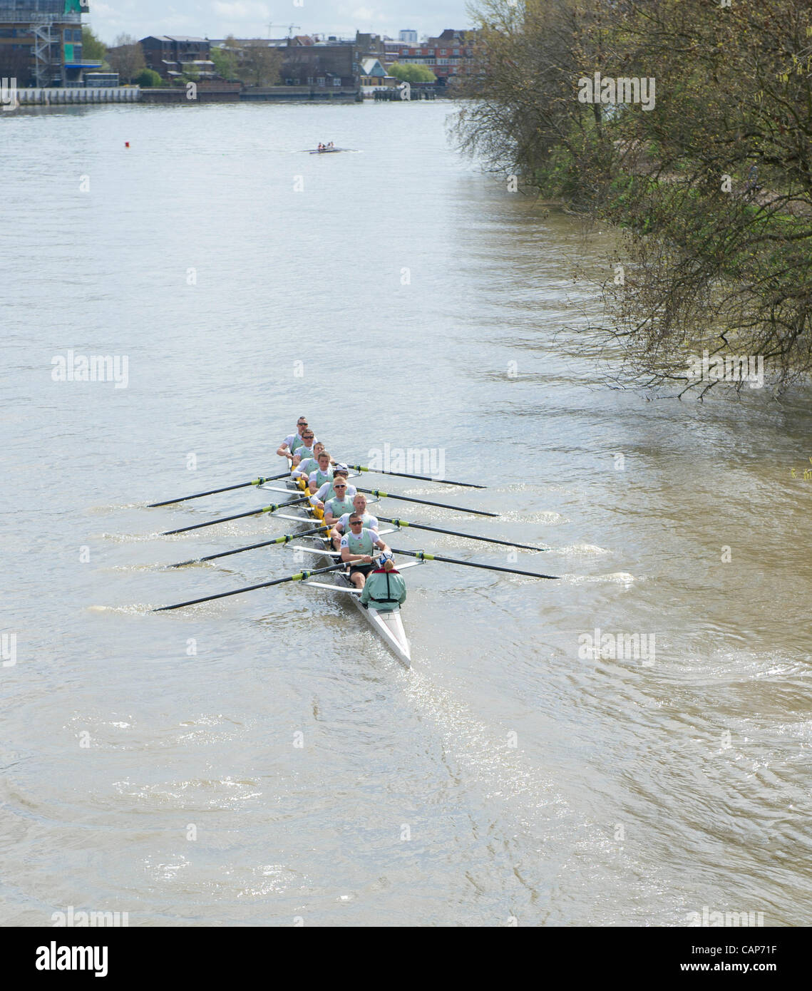 04/04/2012. Le 158e Xchanging Oxford & Cambridge Boat Race des universités. Au cours de l'année d'une sortie pratique Tideway semaine. Le bateau passe sous Goldie Hammersmith Bridge sur une pratique sortie. Équipage : Goldie Cambridge- 1 Guindeau : Josh Pendry, Rowan 2 Lawson, 3 Pete Dewhurst, 4, 5 H Tom Haworth Banque D'Images