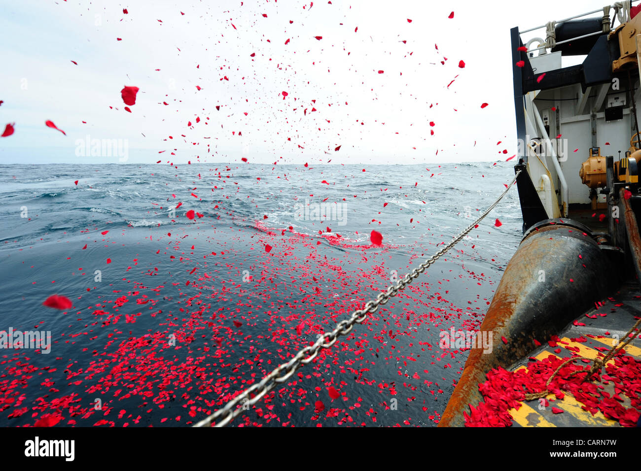 Le 14 avril 2012, près de 1,5 millions de pétales de rose séchés ont été dispersés sur le site de repos du RMS Titanic par le garde-côtes américain Juiper pour honorer le centenaire de la catastrophe du Titanic. Banque D'Images
