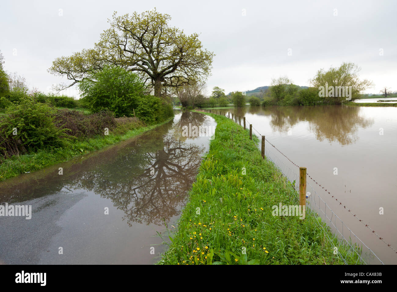 Apperley, au sud de Gloucester, Gloucestershire. 1 mai, 2012. La rivière Severn éclater ses rives pour inonder un lane près de Apperley. Banque D'Images