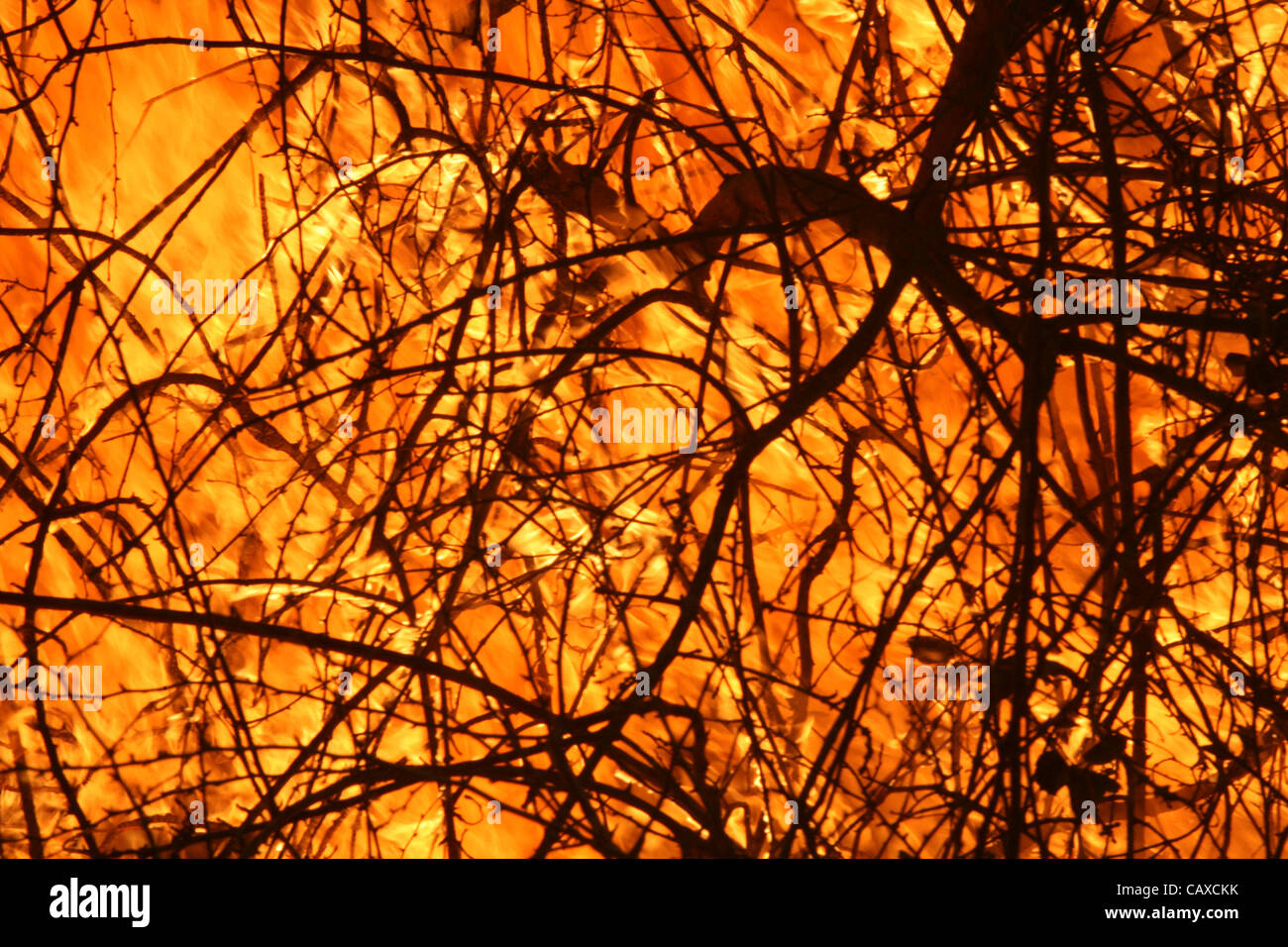 24 Oct 2007 - Modjeska Canyon, CA, USA - la bataille des pompiers Modjeska Canyon feu dans le unincorperated article du comté d'Orange avec le feu. Retour réglage de feux de brûler le carburant restant dans les efforts visant à mettre fin à l'entrée sur les flammes. Avec les vents qui résident l'équipes de pompiers tirer parti de l'favorab Banque D'Images