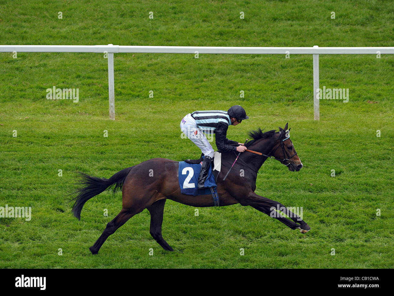 Mgr Roko monté par James Doyle remporte la mise sur votre mobile au bluesq.com E B F Maiden Stakes Cl4 1m2f6y - les courses de chevaux à l'Hippodrome de Newbury, Berkshire - 24/03/2012 - CRÉDIT OBLIGATOIRE : Martin Dalton Banque D'Images