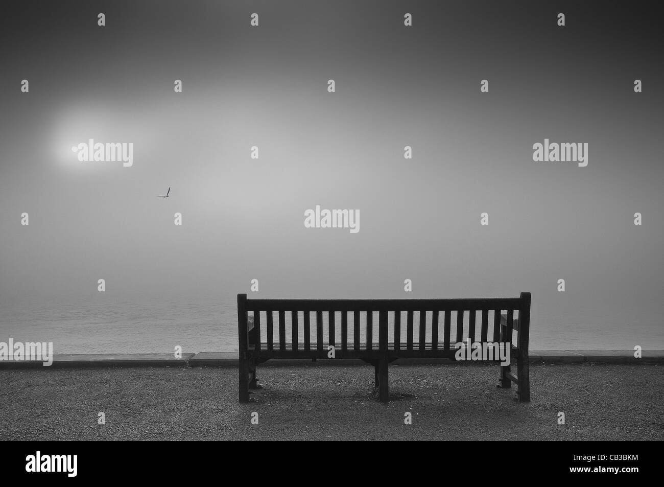 Un banc vide et une mouette solitaire éclairée par un soleil diffus sur une rivière Humber brumeux, dans le Nord de l'Angleterre. Banque D'Images