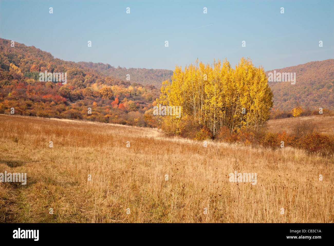 La Slovaquie au paysage d'automne Banque D'Images