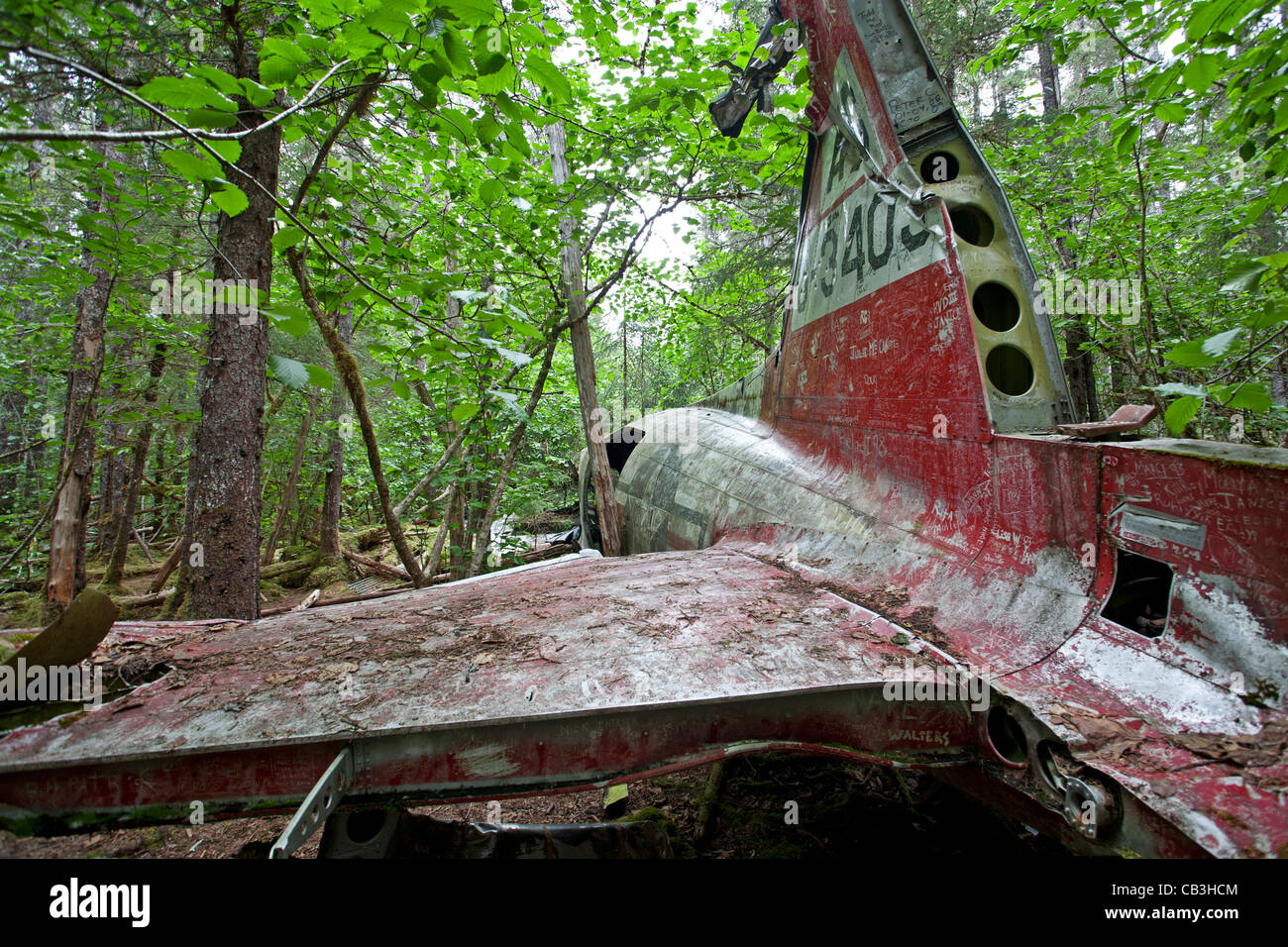 1957 crash de l'avion DC-3. Gustave-adolphe. Glacier Bay. De l'Alaska. USA Banque D'Images