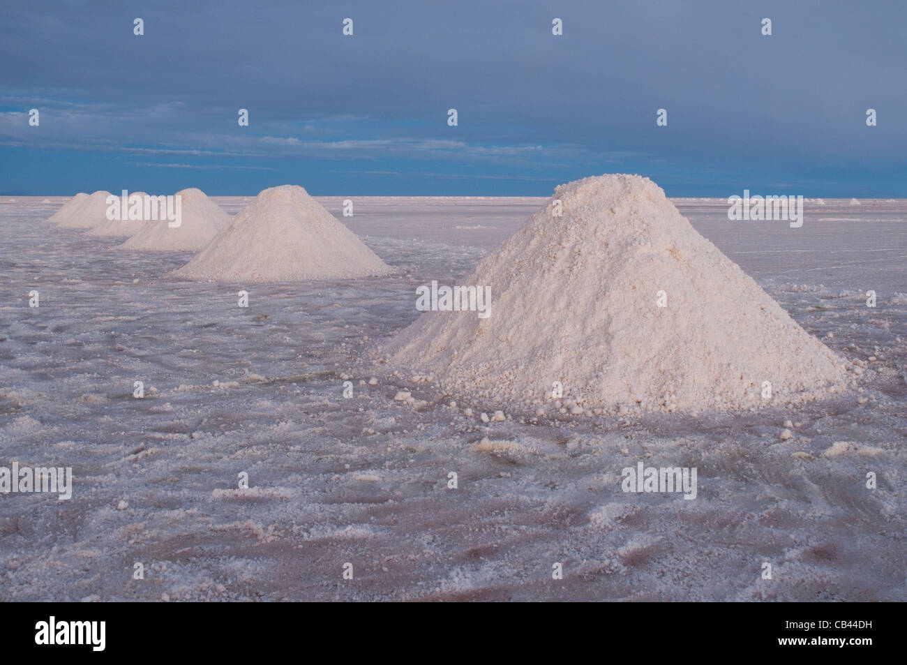 Salar de Uyuni, la collecte de sel à Colchani ; région de Potosi, Bolivie, Amérique du Sud Banque D'Images