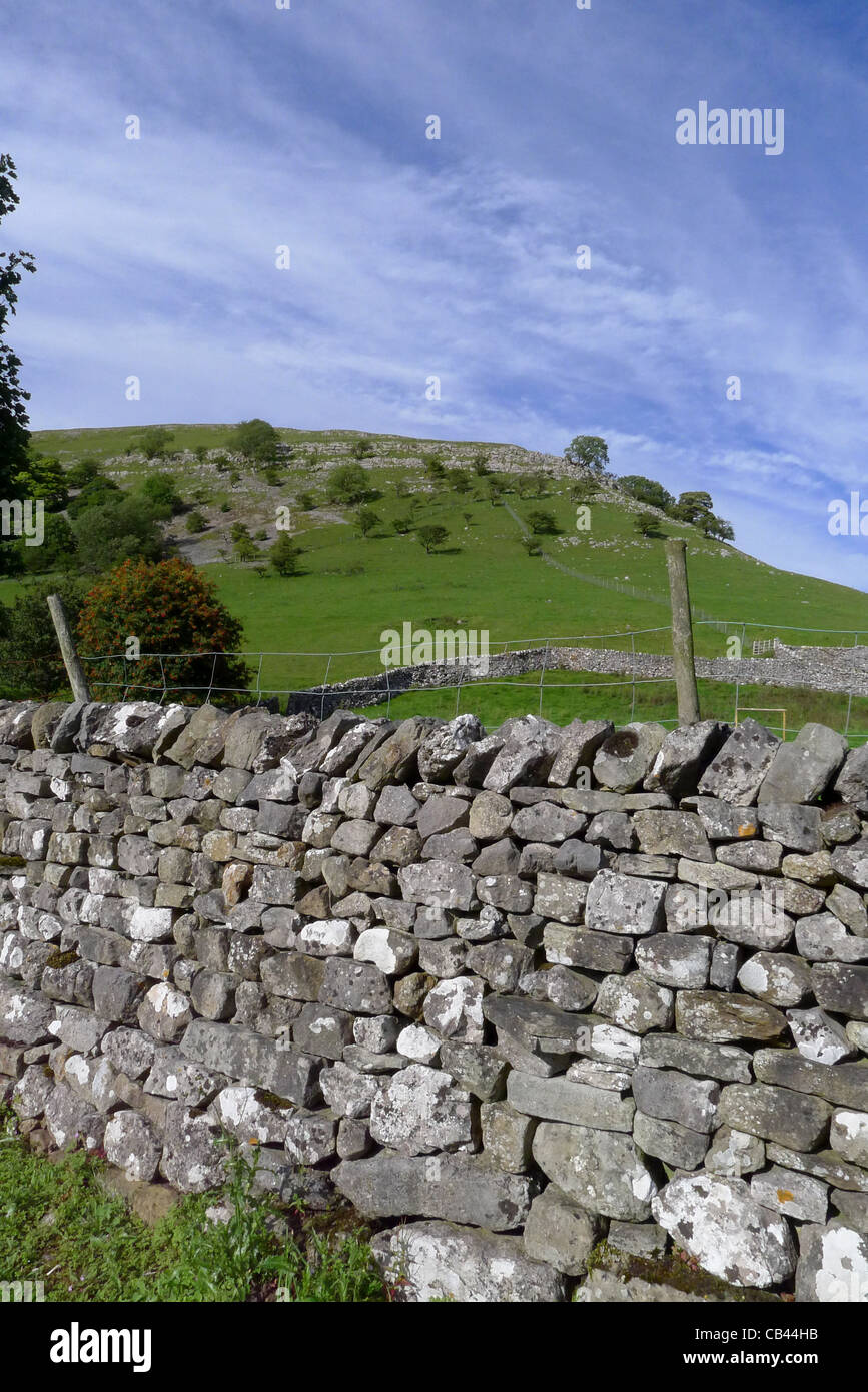 Un mur de pierres sèches typiques portées dans l'Crossbank, Ravenstonedale, Kirkby Stephen Yorkshire Dales UK Banque D'Images