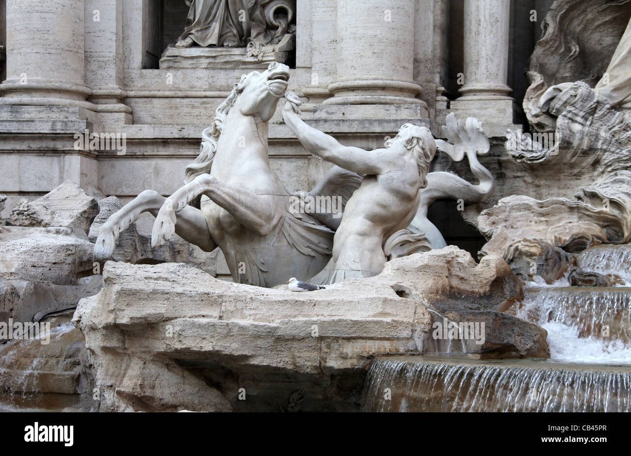 Fontaine de Trevi closeup Banque D'Images