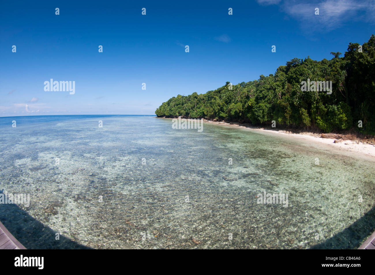 Se félicitant de la jetée à Jellyfish lake, Jellyfish lake, Kakaban, l'île de Berau, Kalimantan, Bornéo, Indonésie, l'Océan Pacifique Banque D'Images