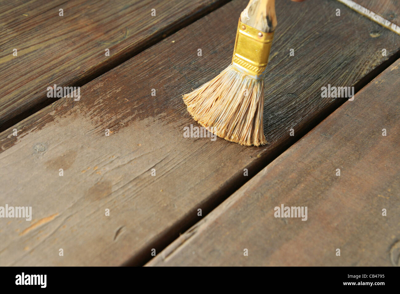 L'application de l'huile d'étanchéité d'une terrasse en bois avec un pinceau Banque D'Images
