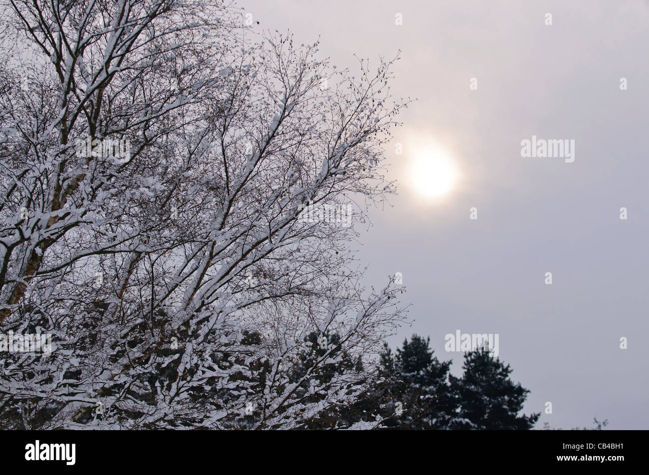 Le Winter's Sun Peaks à travers un ciel gris Banque D'Images