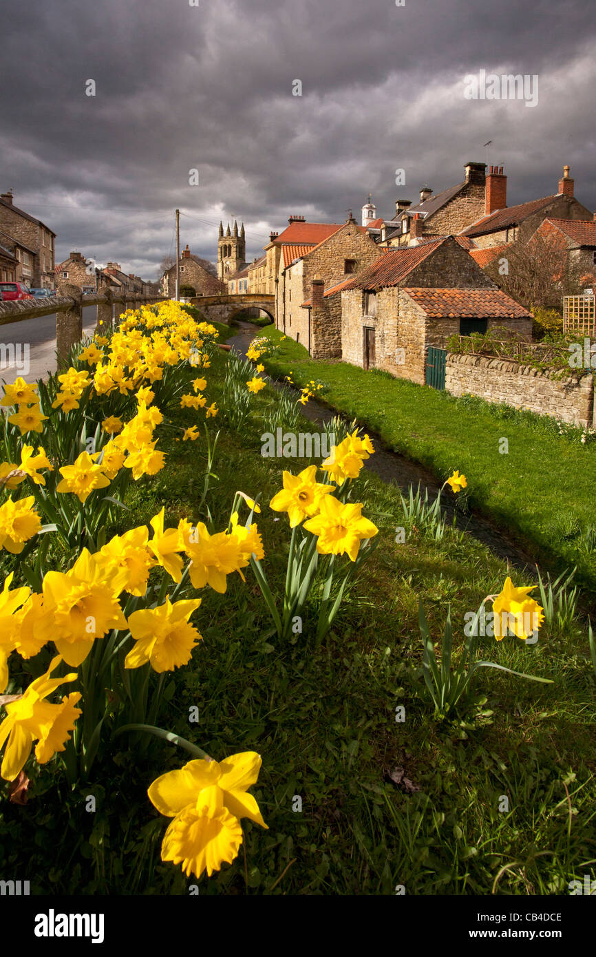 Castlegate Helmsley Yorkshire du Nord avec les jonquilles en fleurs à venir Banque D'Images