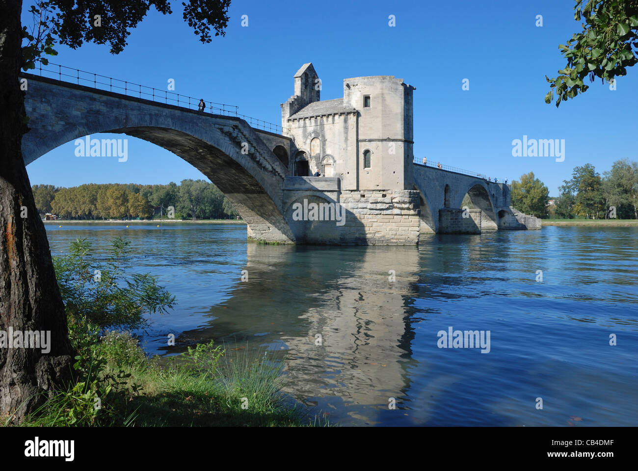 Le Pont d'Avignon (Pont d'Avignon), également connu sous le pont St-Bénezet. Avignon, Vaucluse, Provence-Alpes-Côte d'Azur, France. Banque D'Images